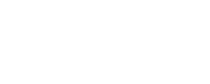 SkinBid