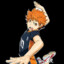 Shoyo Hinata