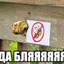 Пчелы оффлайн