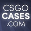 xLOWCS2-CASES.COMSKINS
